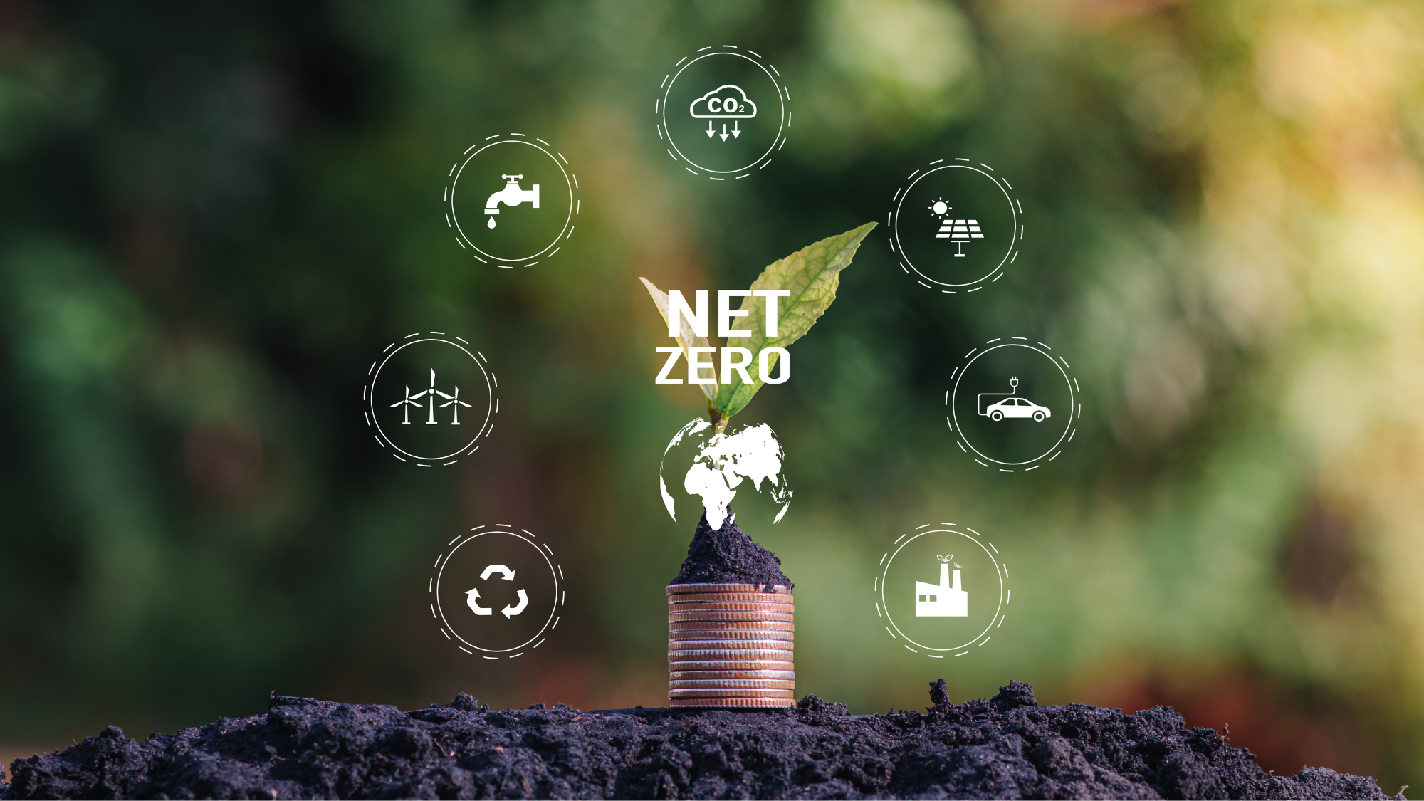 Net Zero Cloud Nederland