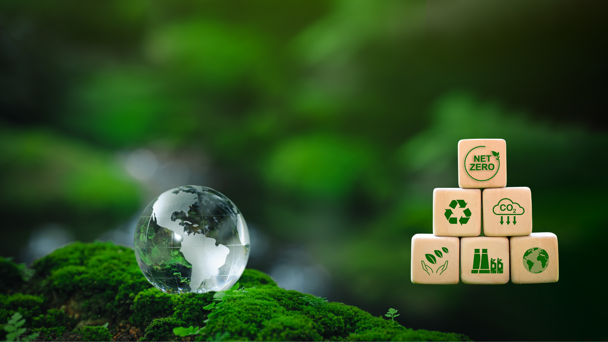 Net Zero Cloud world